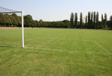 Stade Aldo Platini