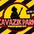 cavazik