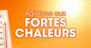 conseils fortes chaleurs vignette