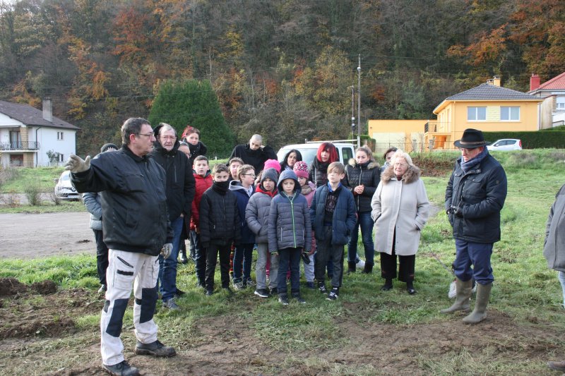 Plantation d'arbres fruitiers à Haropré