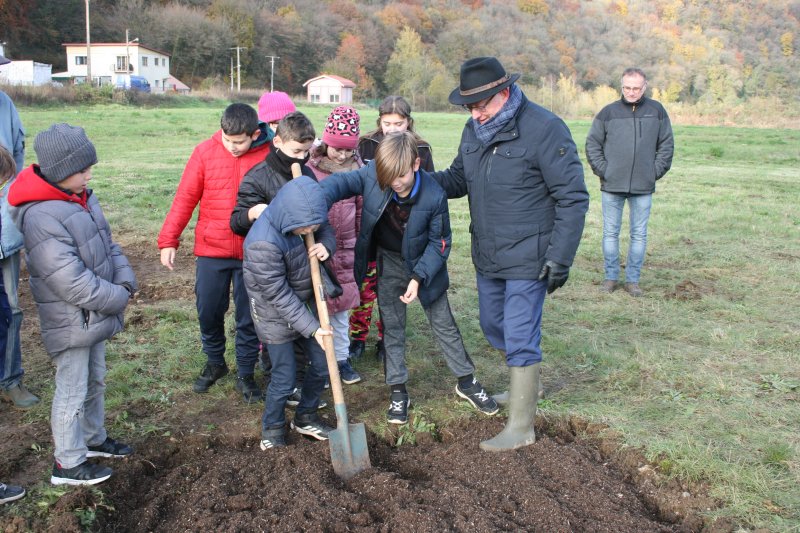 Plantation d'arbres fruitiers à Haropré