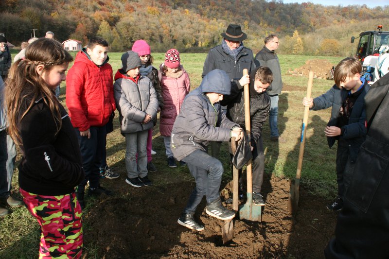 Plantation d'arbres fruitiers à Haropré