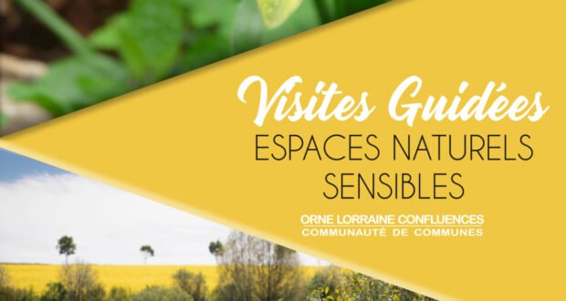visites guidees OLC