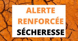 secheresse-renforcee