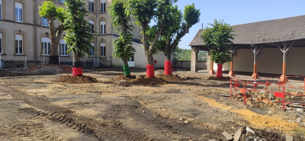 Renaturation des cours d'école