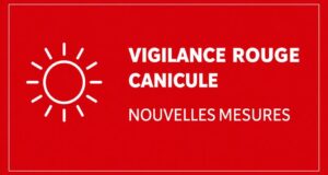 Vigilance canicule