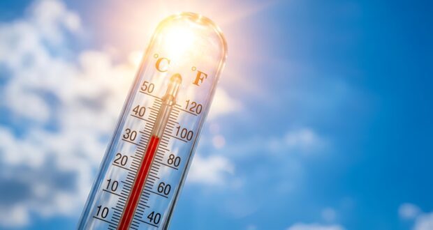 Vigilance canicule