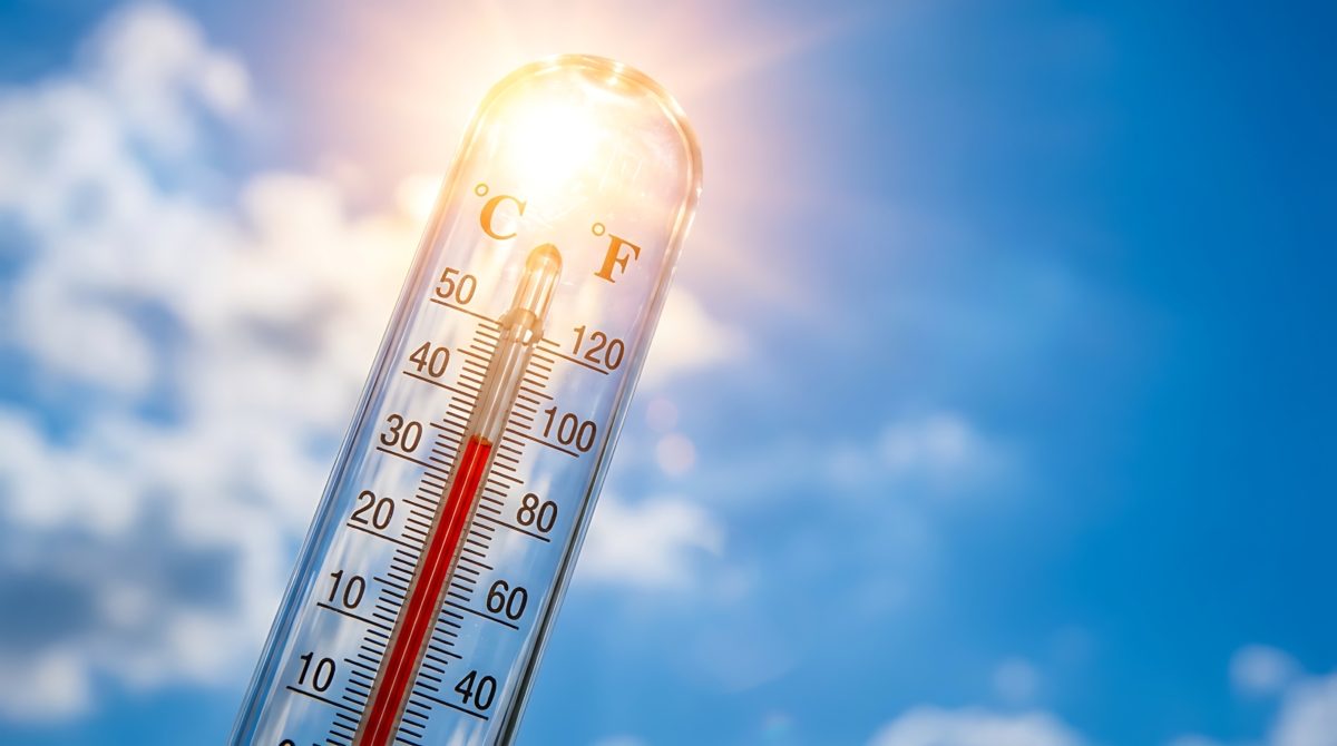 Vigilance canicule